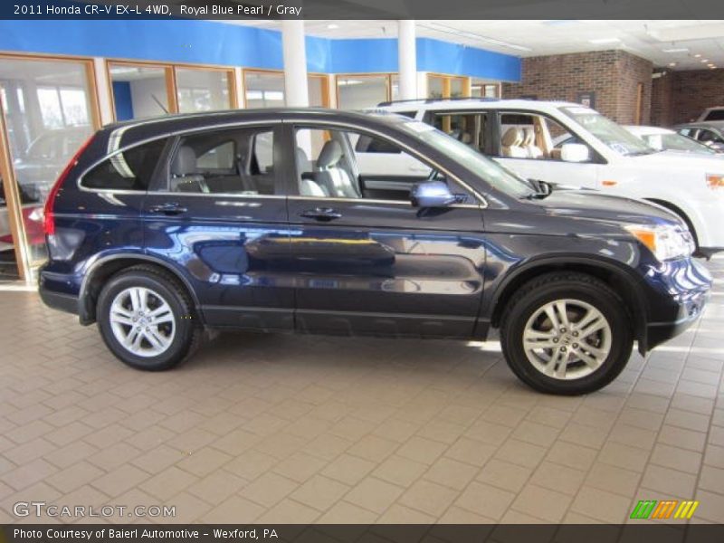 Royal Blue Pearl / Gray 2011 Honda CR-V EX-L 4WD
