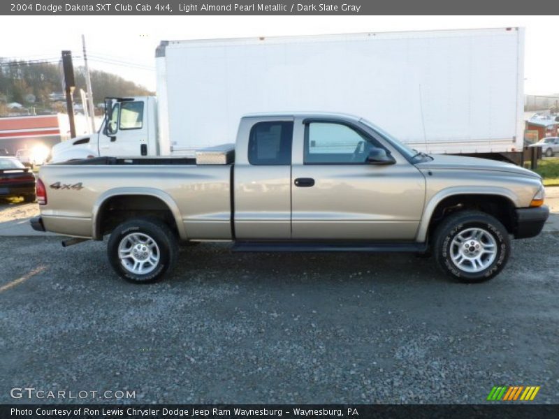 Light Almond Pearl Metallic / Dark Slate Gray 2004 Dodge Dakota SXT Club Cab 4x4