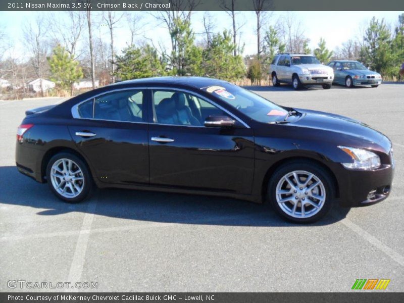 Crimson Black / Charcoal 2011 Nissan Maxima 3.5 SV