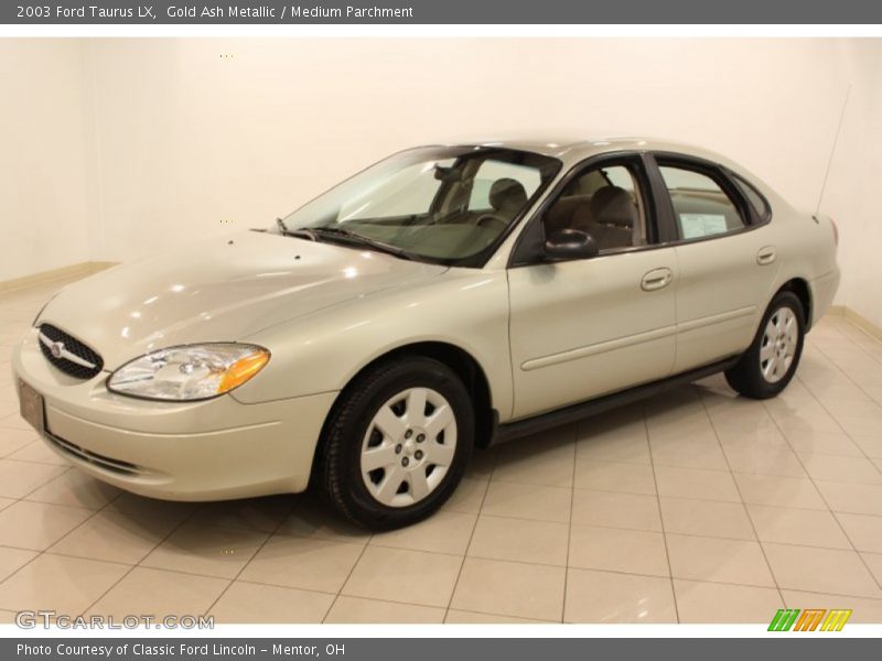 Gold Ash Metallic / Medium Parchment 2003 Ford Taurus LX