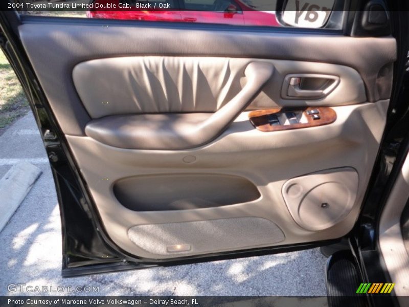Door Panel of 2004 Tundra Limited Double Cab