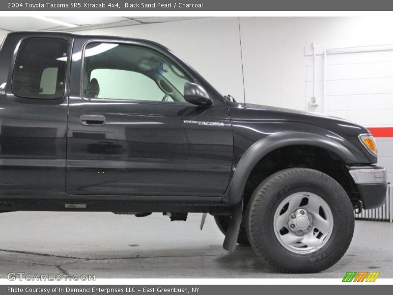 Black Sand Pearl / Charcoal 2004 Toyota Tacoma SR5 Xtracab 4x4