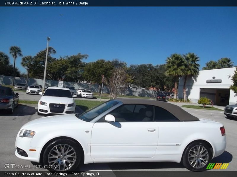 Ibis White / Beige 2009 Audi A4 2.0T Cabriolet