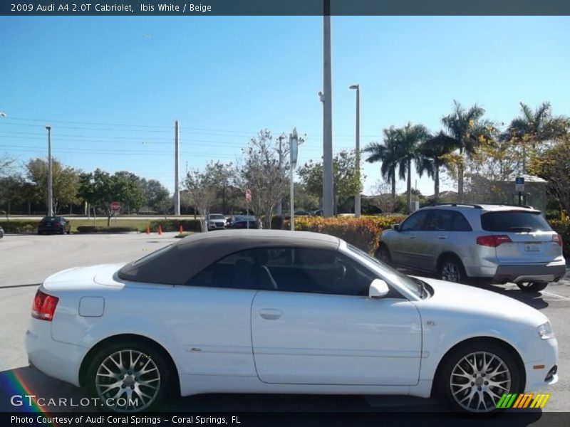 Ibis White / Beige 2009 Audi A4 2.0T Cabriolet