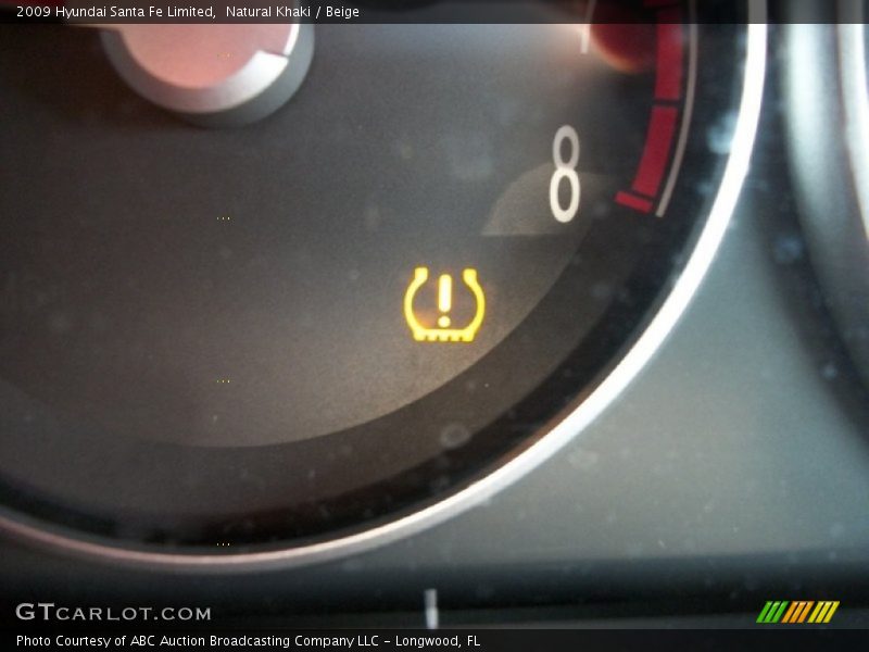 Natural Khaki / Beige 2009 Hyundai Santa Fe Limited