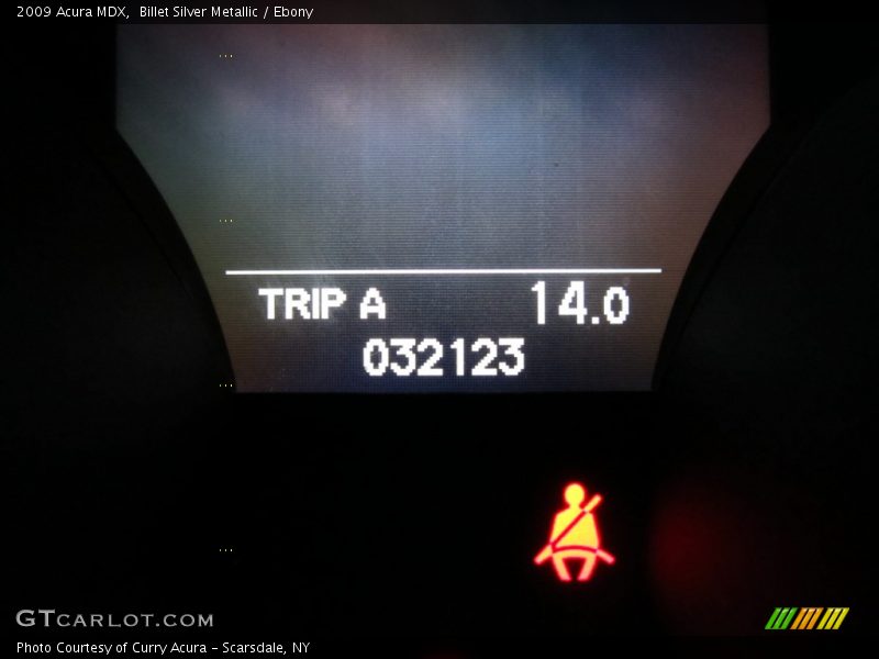 Billet Silver Metallic / Ebony 2009 Acura MDX