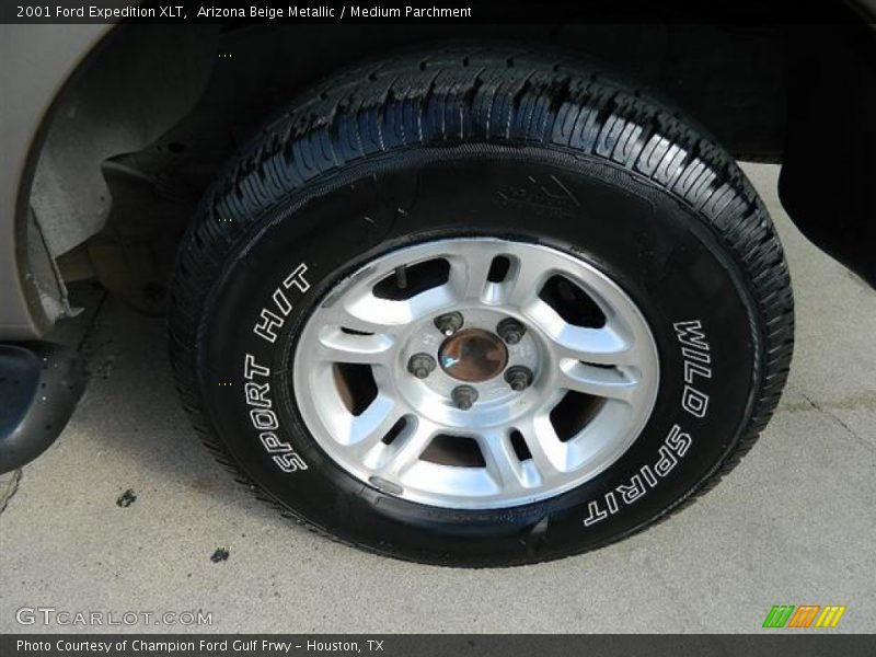 Arizona Beige Metallic / Medium Parchment 2001 Ford Expedition XLT