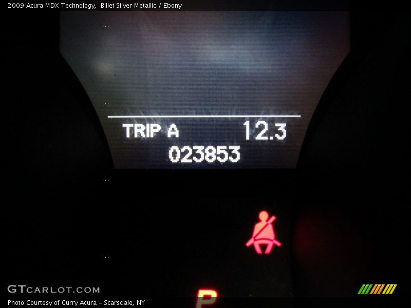 Billet Silver Metallic / Ebony 2009 Acura MDX Technology