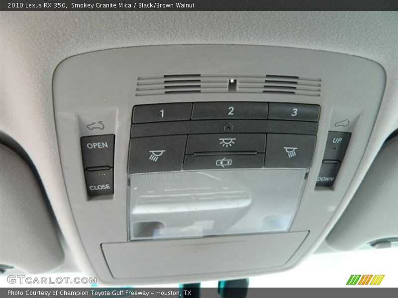 Smokey Granite Mica / Black/Brown Walnut 2010 Lexus RX 350
