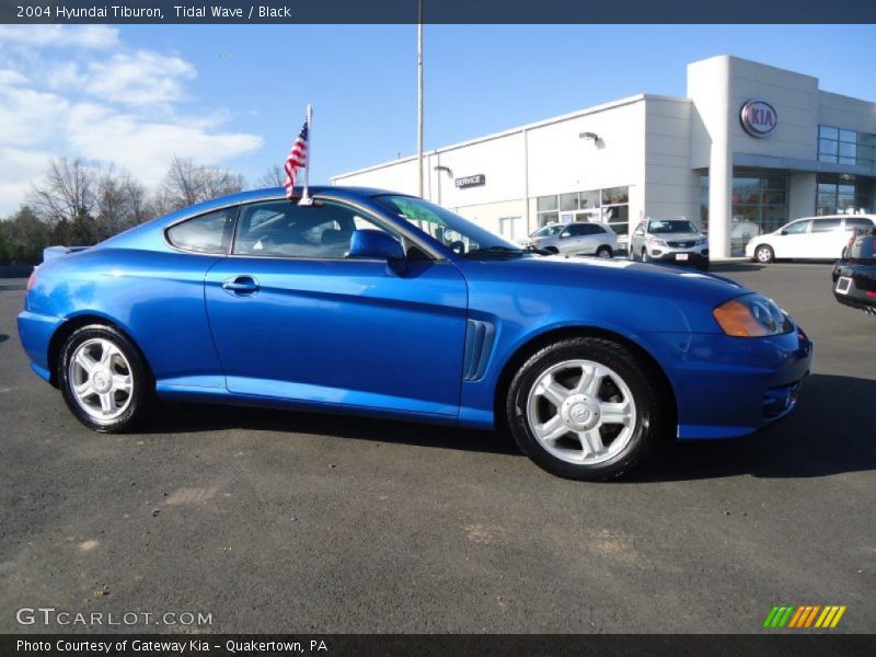 Tidal Wave / Black 2004 Hyundai Tiburon