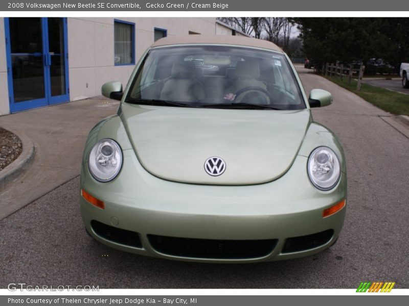 Gecko Green / Cream Beige 2008 Volkswagen New Beetle SE Convertible