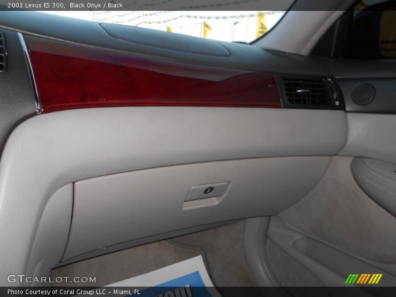 Black Onyx / Black 2003 Lexus ES 300