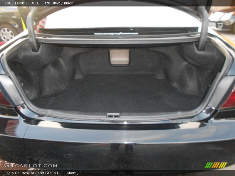 Black Onyx / Black 2003 Lexus ES 300