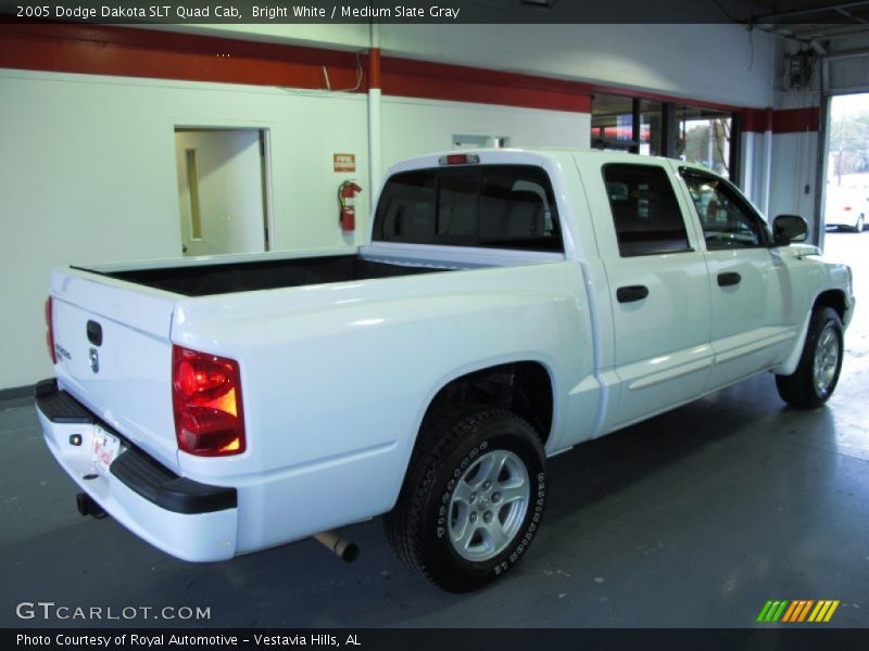 Bright White / Medium Slate Gray 2005 Dodge Dakota SLT Quad Cab