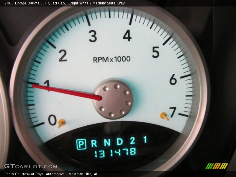 Bright White / Medium Slate Gray 2005 Dodge Dakota SLT Quad Cab