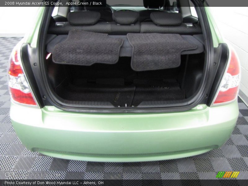 Apple Green / Black 2008 Hyundai Accent GS Coupe