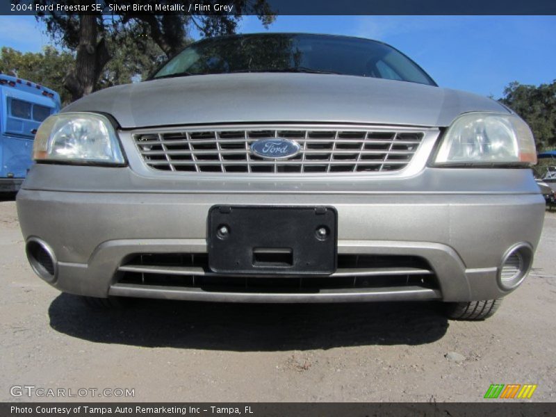 Silver Birch Metallic / Flint Grey 2004 Ford Freestar SE