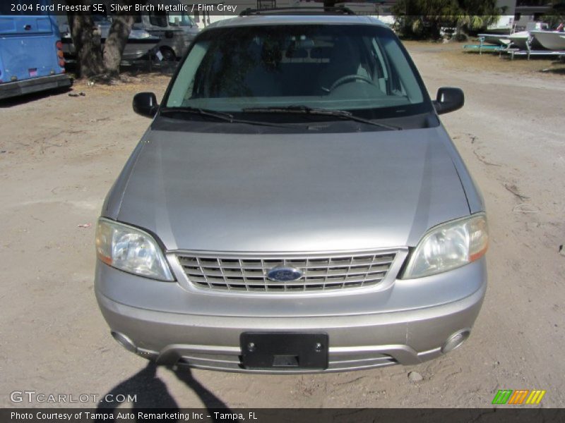 Silver Birch Metallic / Flint Grey 2004 Ford Freestar SE