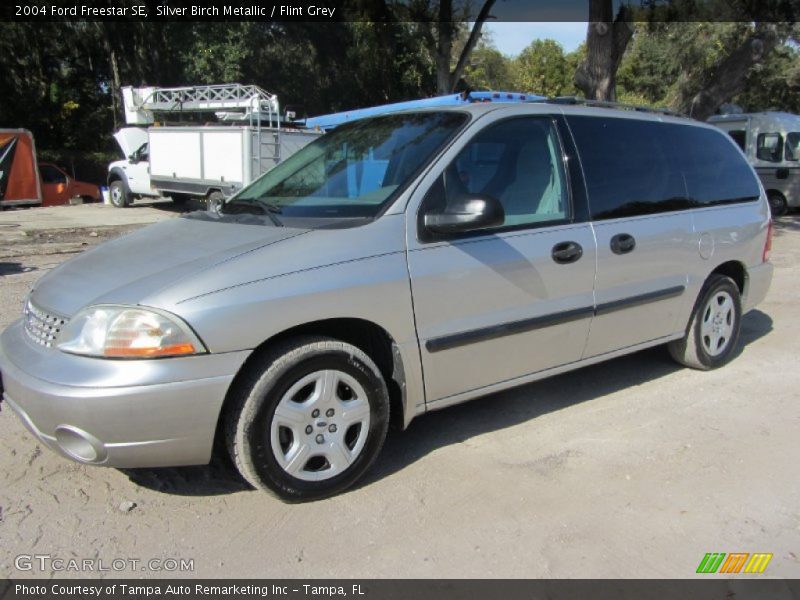 Silver Birch Metallic / Flint Grey 2004 Ford Freestar SE