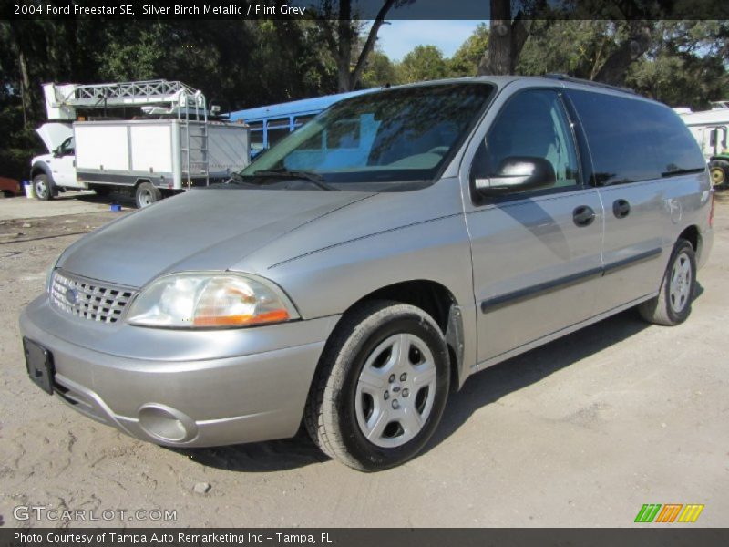 Silver Birch Metallic / Flint Grey 2004 Ford Freestar SE