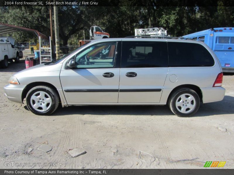 Silver Birch Metallic / Flint Grey 2004 Ford Freestar SE