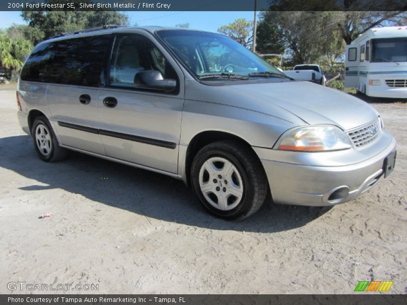 Silver Birch Metallic / Flint Grey 2004 Ford Freestar SE