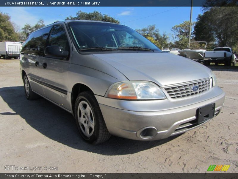 Silver Birch Metallic / Flint Grey 2004 Ford Freestar SE