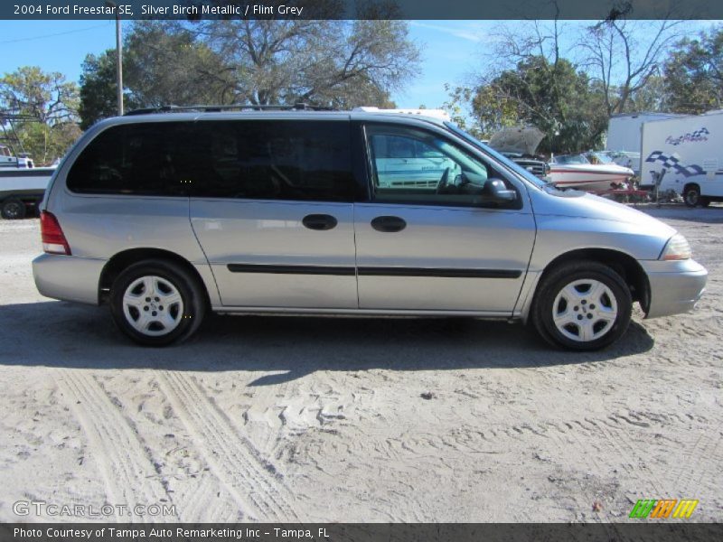 Silver Birch Metallic / Flint Grey 2004 Ford Freestar SE