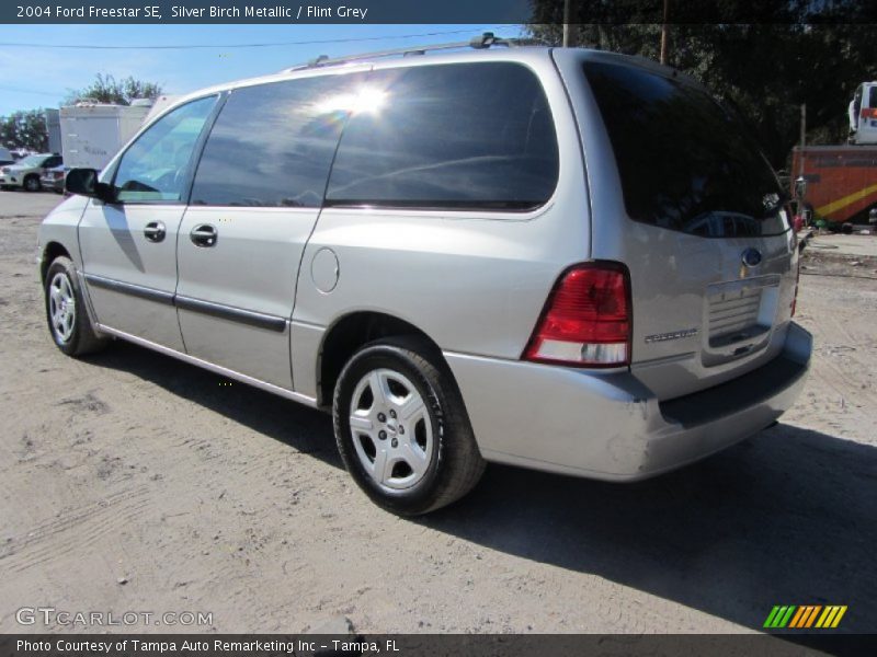 Silver Birch Metallic / Flint Grey 2004 Ford Freestar SE