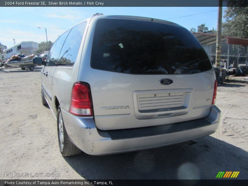 Silver Birch Metallic / Flint Grey 2004 Ford Freestar SE