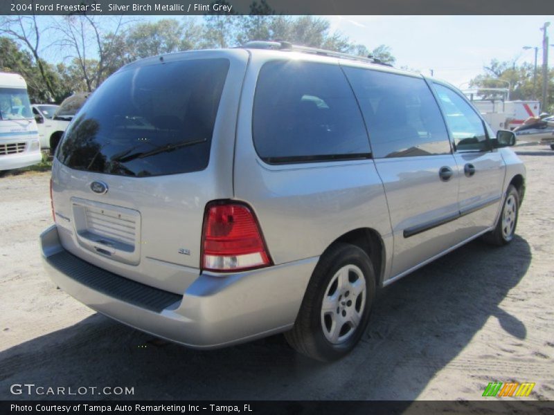 Silver Birch Metallic / Flint Grey 2004 Ford Freestar SE