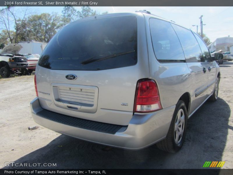 Silver Birch Metallic / Flint Grey 2004 Ford Freestar SE