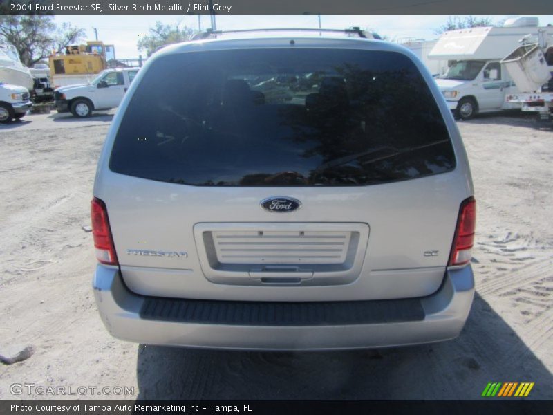 Silver Birch Metallic / Flint Grey 2004 Ford Freestar SE