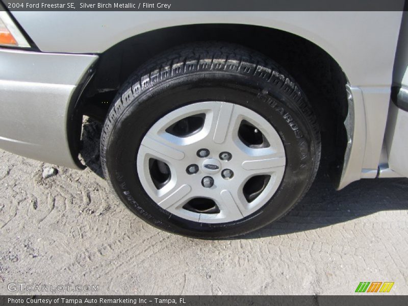 Silver Birch Metallic / Flint Grey 2004 Ford Freestar SE