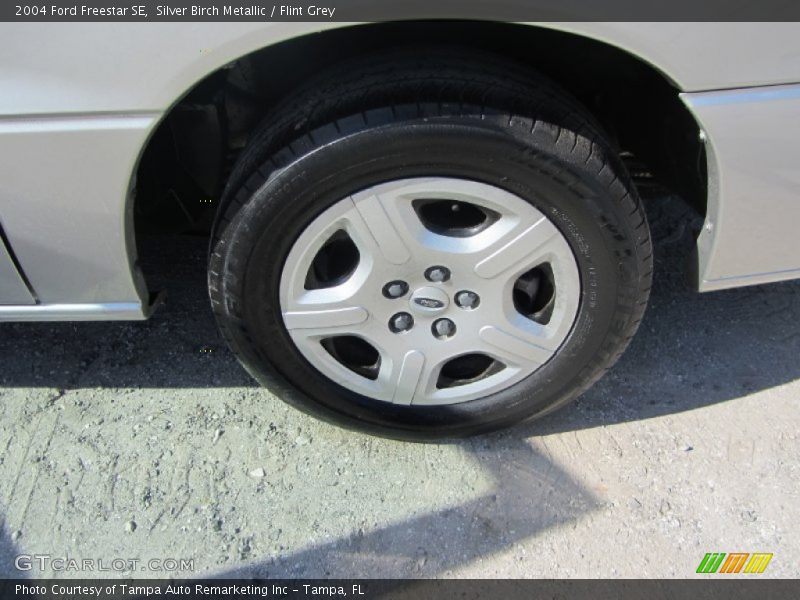 Silver Birch Metallic / Flint Grey 2004 Ford Freestar SE