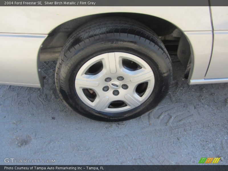 Silver Birch Metallic / Flint Grey 2004 Ford Freestar SE