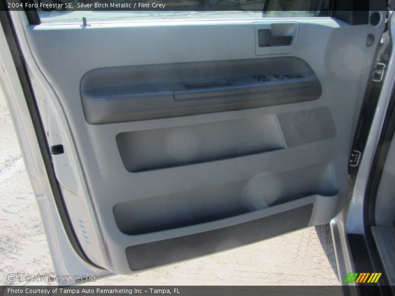 Silver Birch Metallic / Flint Grey 2004 Ford Freestar SE
