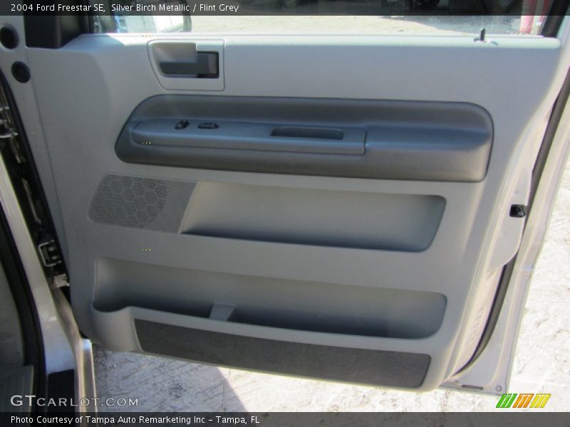 Silver Birch Metallic / Flint Grey 2004 Ford Freestar SE