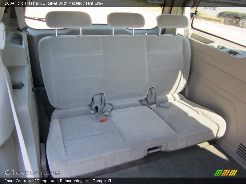 Silver Birch Metallic / Flint Grey 2004 Ford Freestar SE