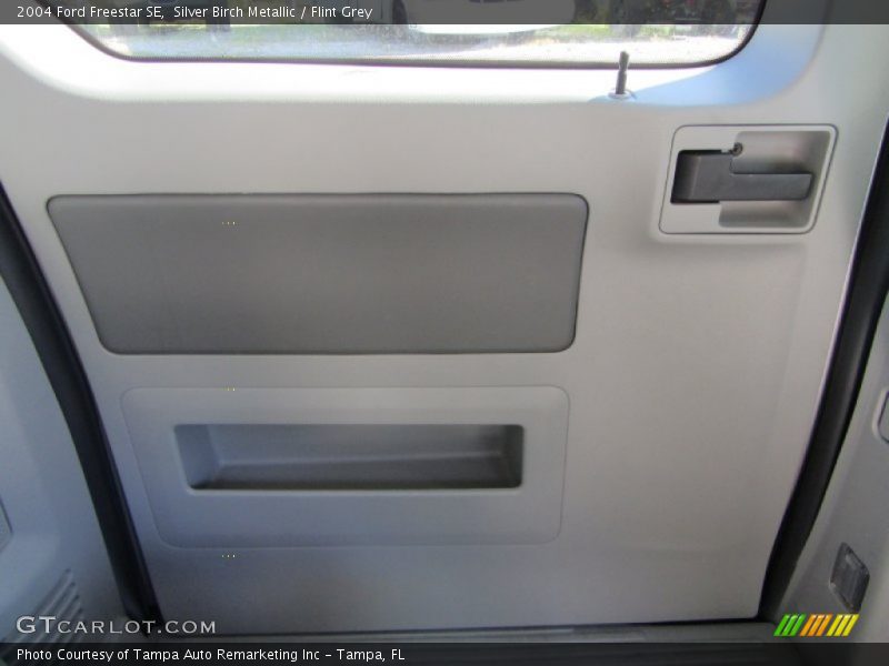 Silver Birch Metallic / Flint Grey 2004 Ford Freestar SE