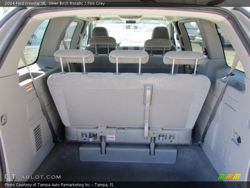 Silver Birch Metallic / Flint Grey 2004 Ford Freestar SE
