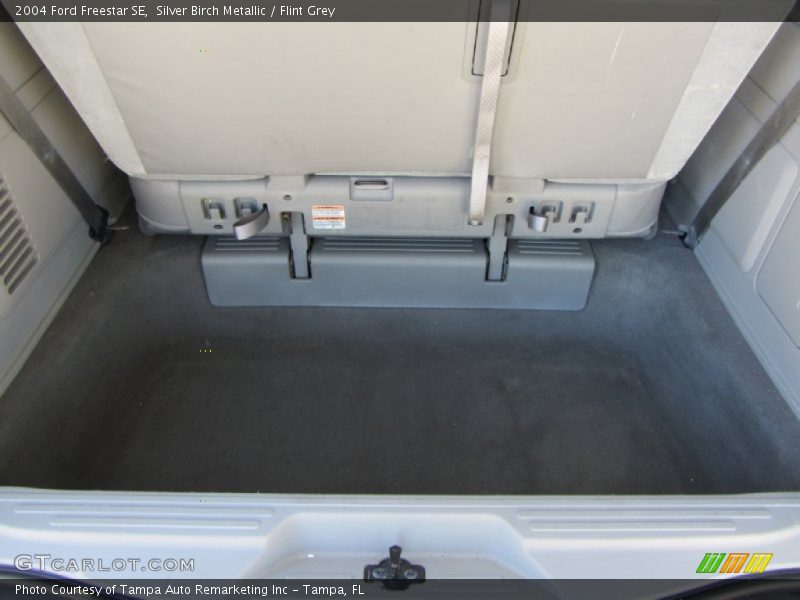 Silver Birch Metallic / Flint Grey 2004 Ford Freestar SE