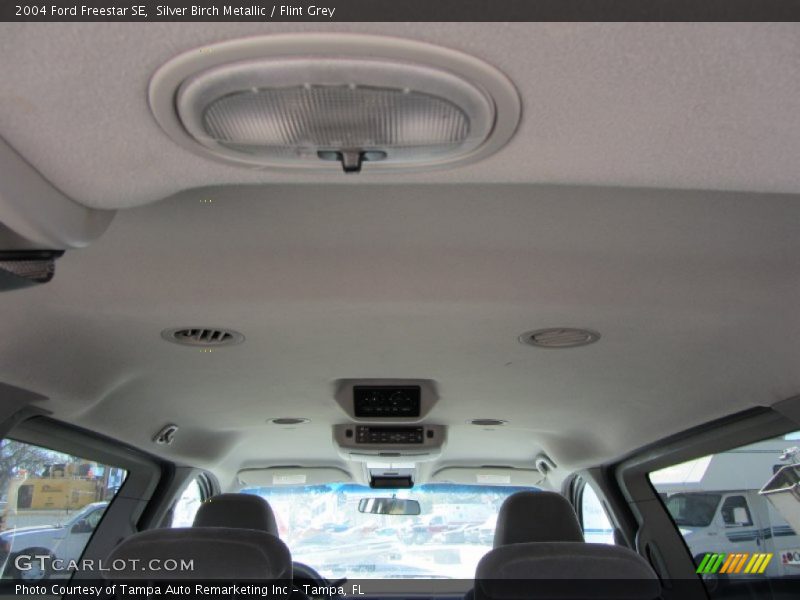 Silver Birch Metallic / Flint Grey 2004 Ford Freestar SE
