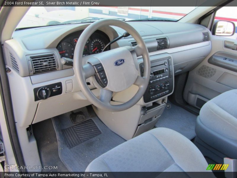 Silver Birch Metallic / Flint Grey 2004 Ford Freestar SE