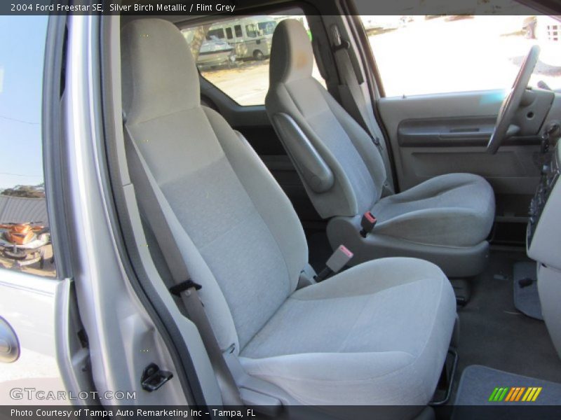 Silver Birch Metallic / Flint Grey 2004 Ford Freestar SE