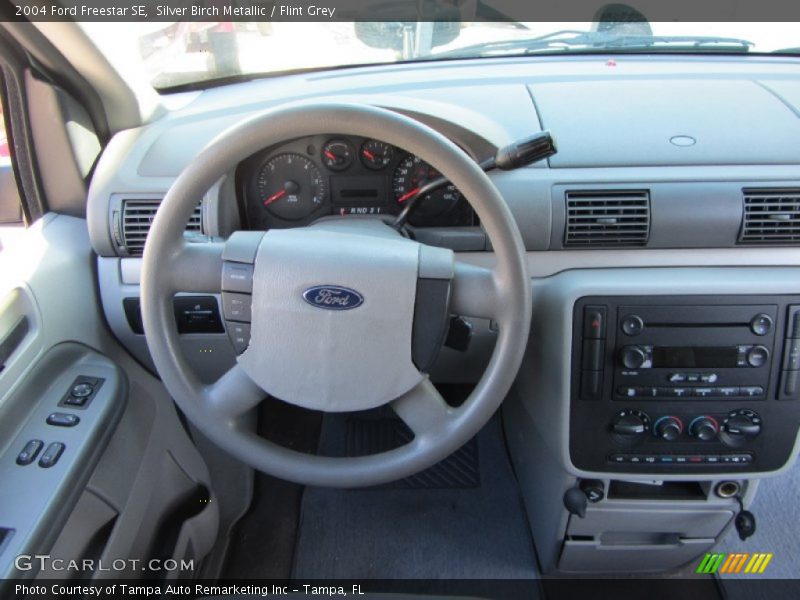 Silver Birch Metallic / Flint Grey 2004 Ford Freestar SE