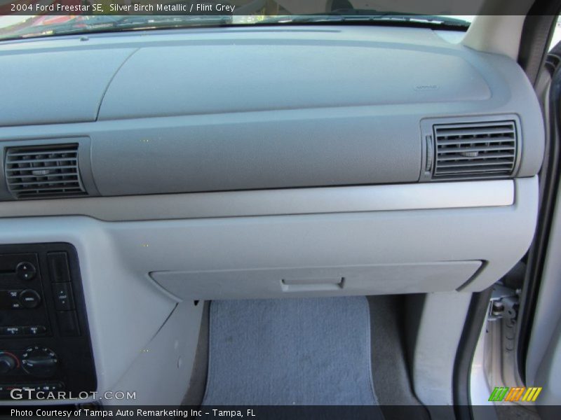 Silver Birch Metallic / Flint Grey 2004 Ford Freestar SE