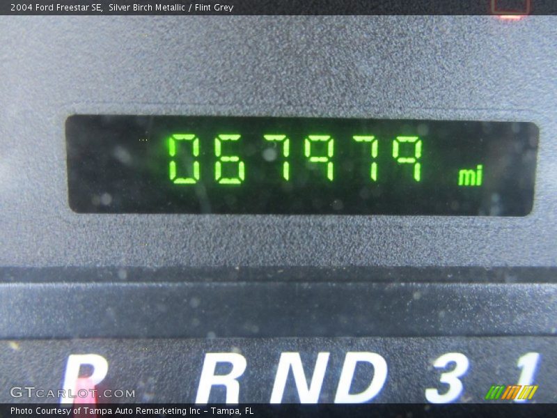 Silver Birch Metallic / Flint Grey 2004 Ford Freestar SE