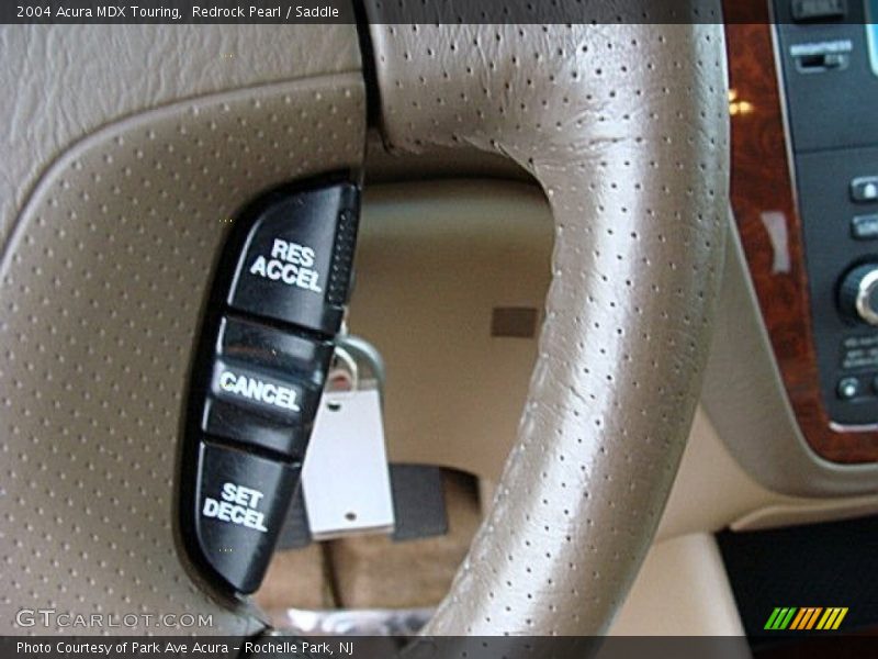 Redrock Pearl / Saddle 2004 Acura MDX Touring