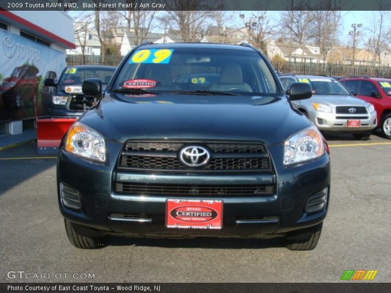 Black Forest Pearl / Ash Gray 2009 Toyota RAV4 4WD